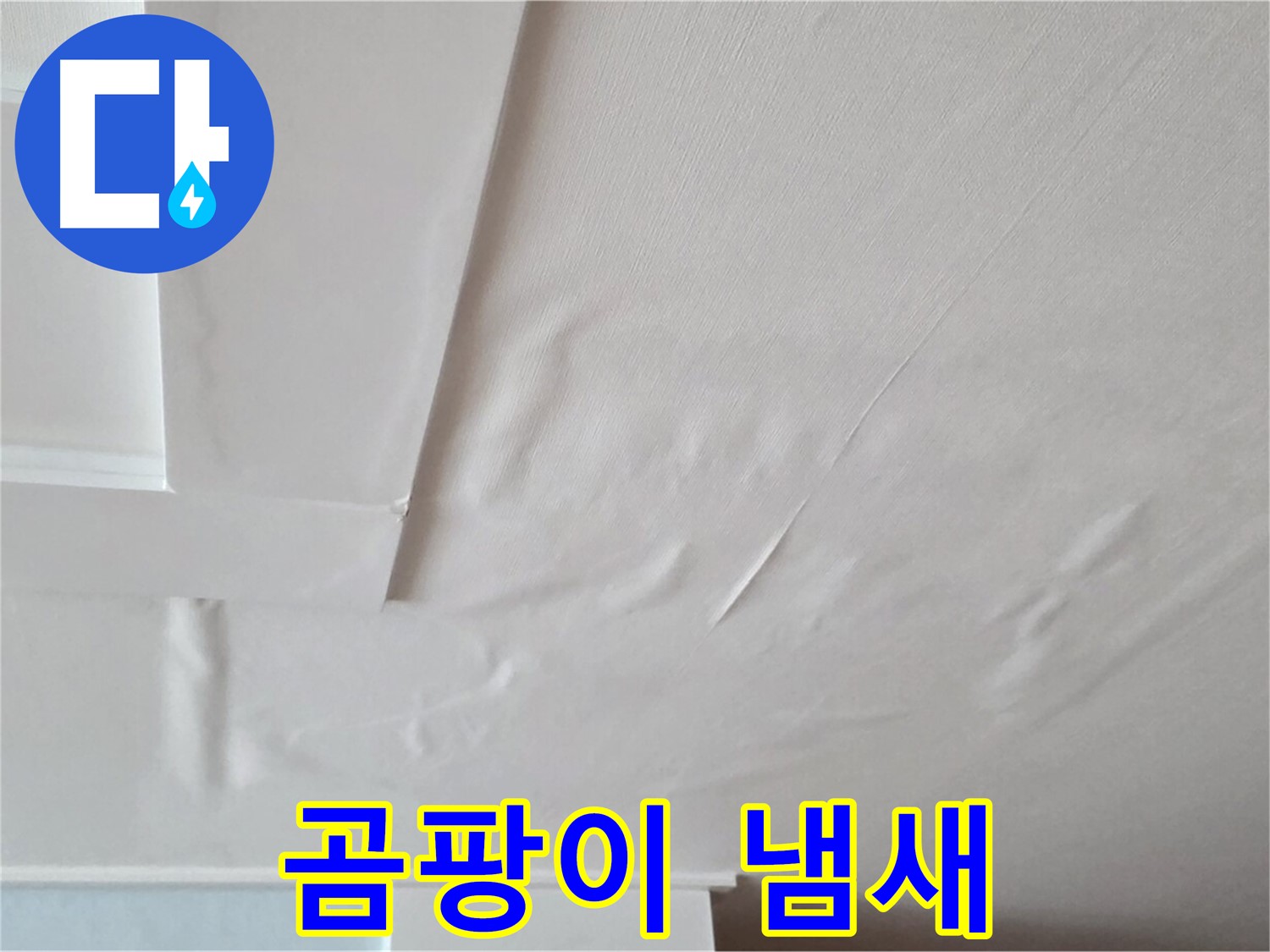 일동기산베스트빌 아파트 천장 누수 - 곰팡이 냄새와 건강 위협