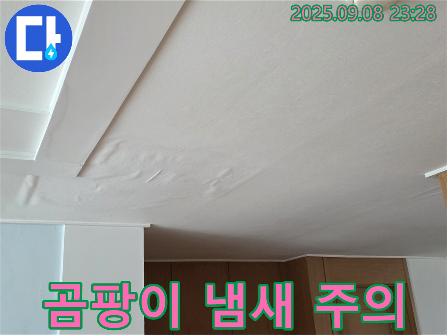 일동면 기산리 아파트 누수 - 젖은 천장, 곰팡이 냄새가 나기 전에 연락 주세요