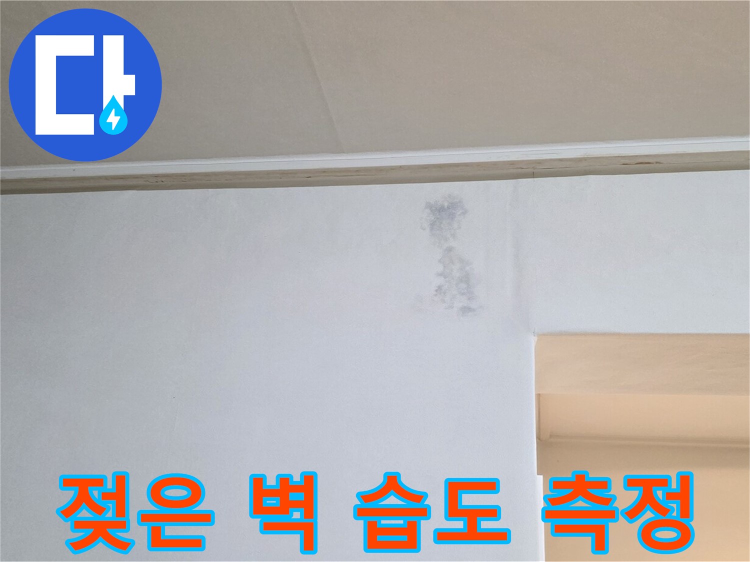 젖은 벽 습도 측정 - 누수 지점 찾기