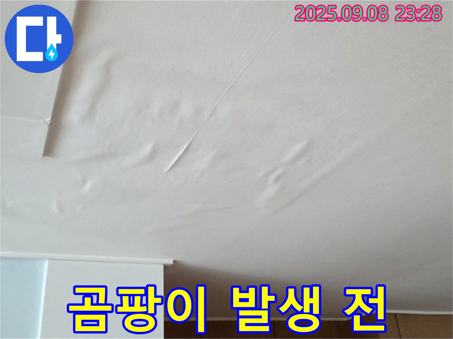 천장 누수 해결 - 곰팡이 발생 전에 누수 문제 해결 완료