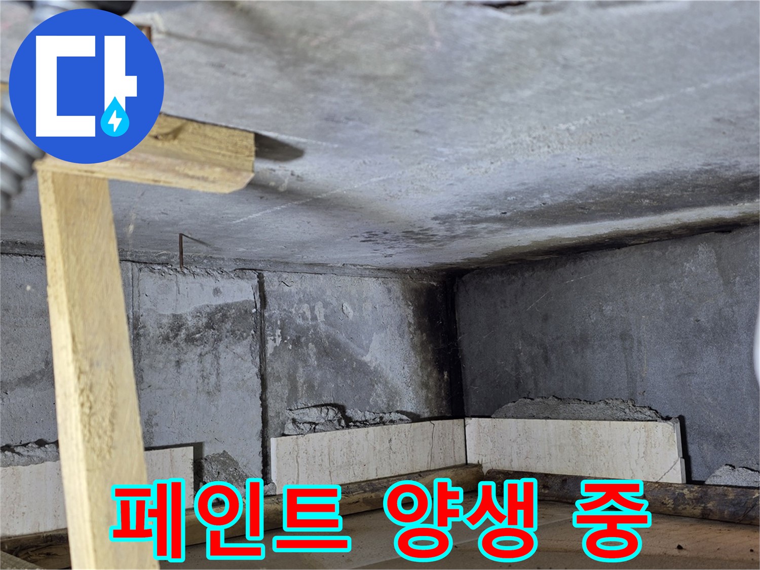 천장 페인트 - 양생 및 건조
