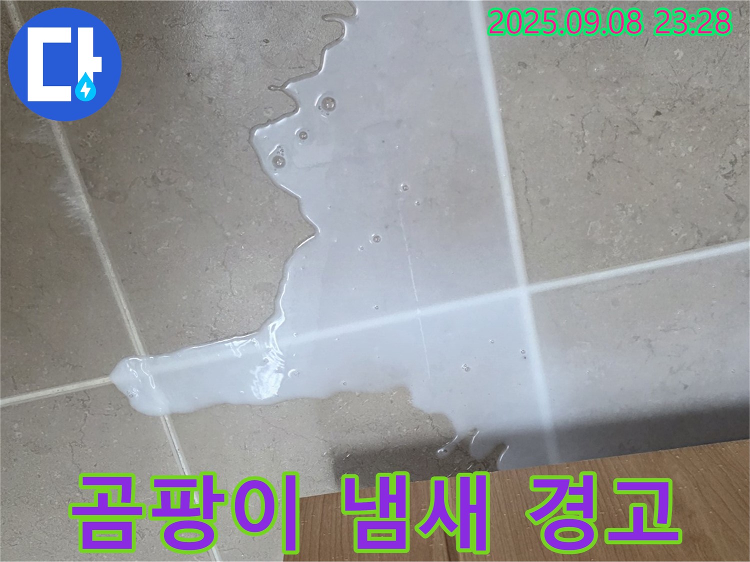 포천 일동 기산베스트빌 아파트 - 싱크대 물, 곰팡이 냄새, 건강 적신호