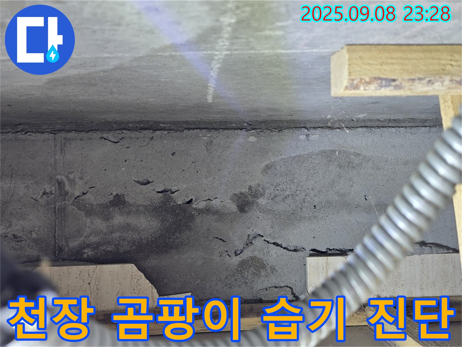 포천 일동 아파트 누수 - 천장 곰팡이, 습기, 최첨단 장비로 숨은 누수까지 완벽 진단