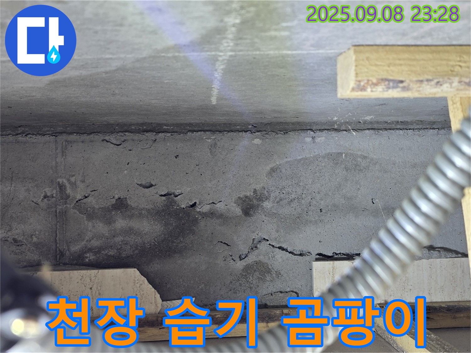 포천 일동 아파트 누수 - 콘크리트 천장, 습기와 함께 곰팡이 발생, 건강 위협