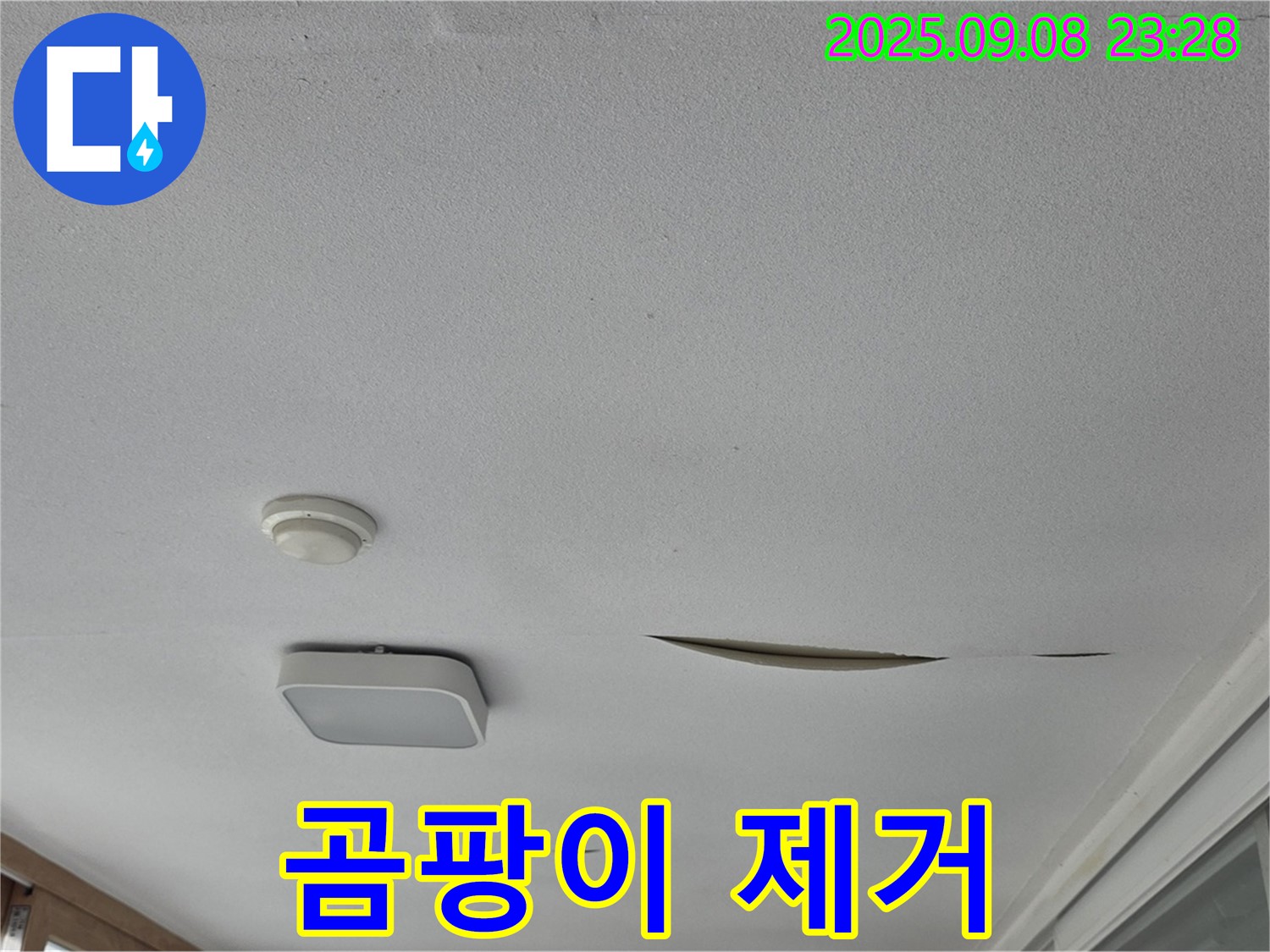 포천 일동 아파트 베란다 천장 - 석고보드 찢어짐 부위 주변 곰팡이 제거