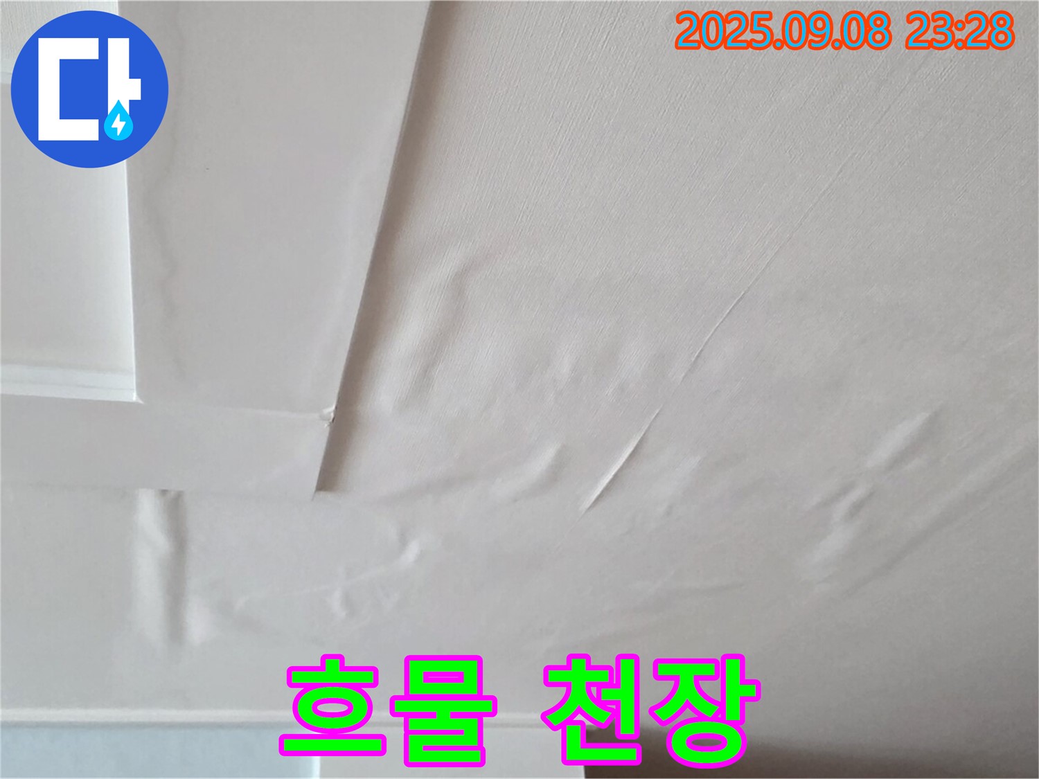 포천 일동 아파트 - 흐물 골판지 - 누수 진행 중 - 빠른 조치