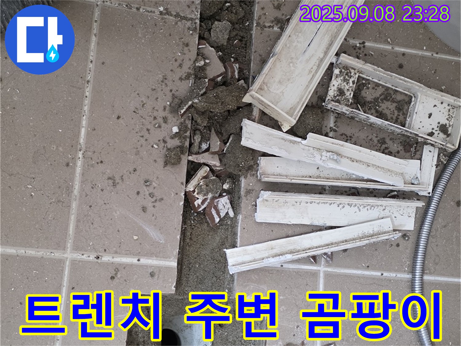 포천 일동 - 트렌치 주변 곰팡이 - 기산베스트빌 아파트