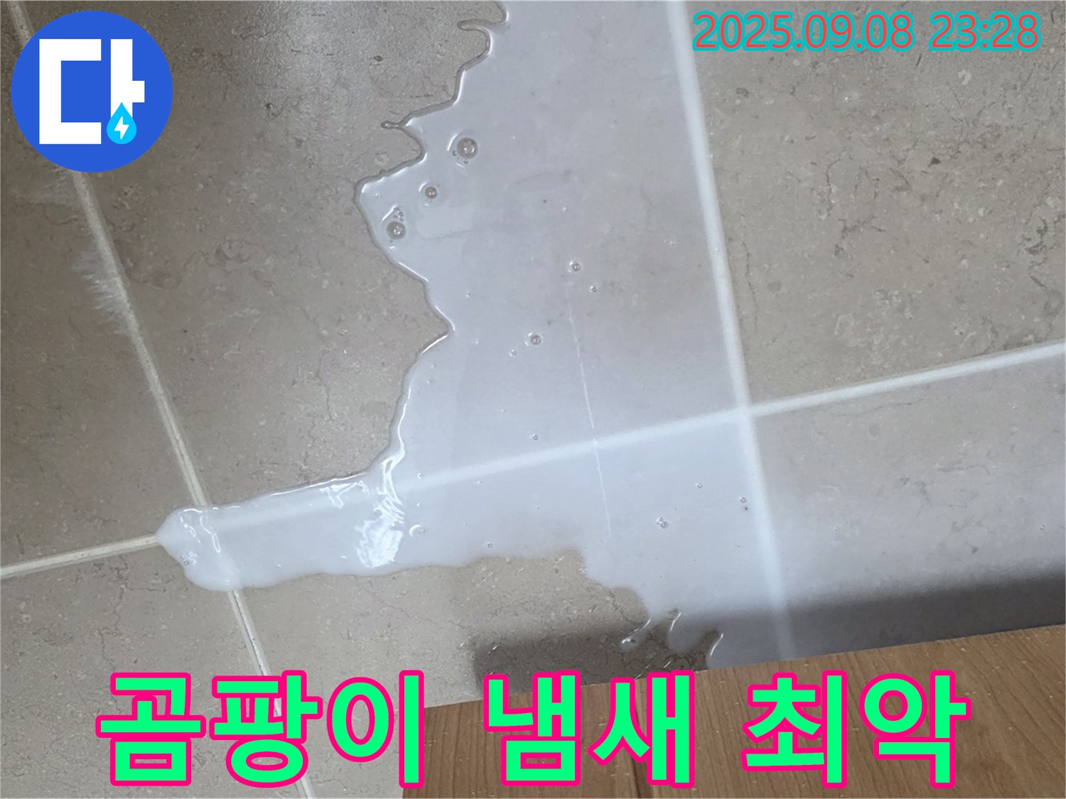 포천시 일동면 기산리 - 싱크대 하부장 물, 곰팡이 냄새, 최악의 조합