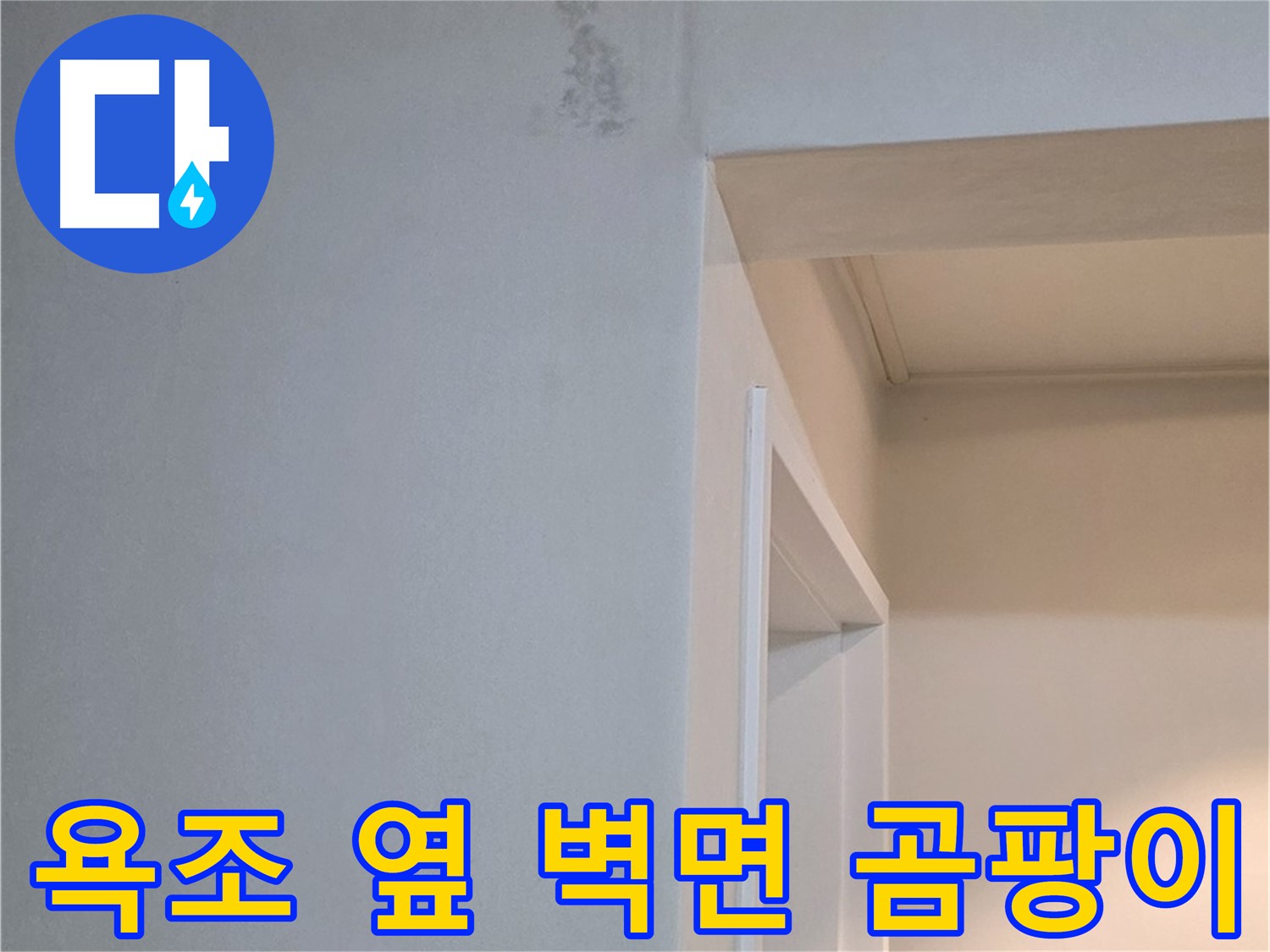 포천시 일동면 기산리 아파트 욕조 옆 벽면 곰팡이 - 숨겨진 누수 가능성 진단