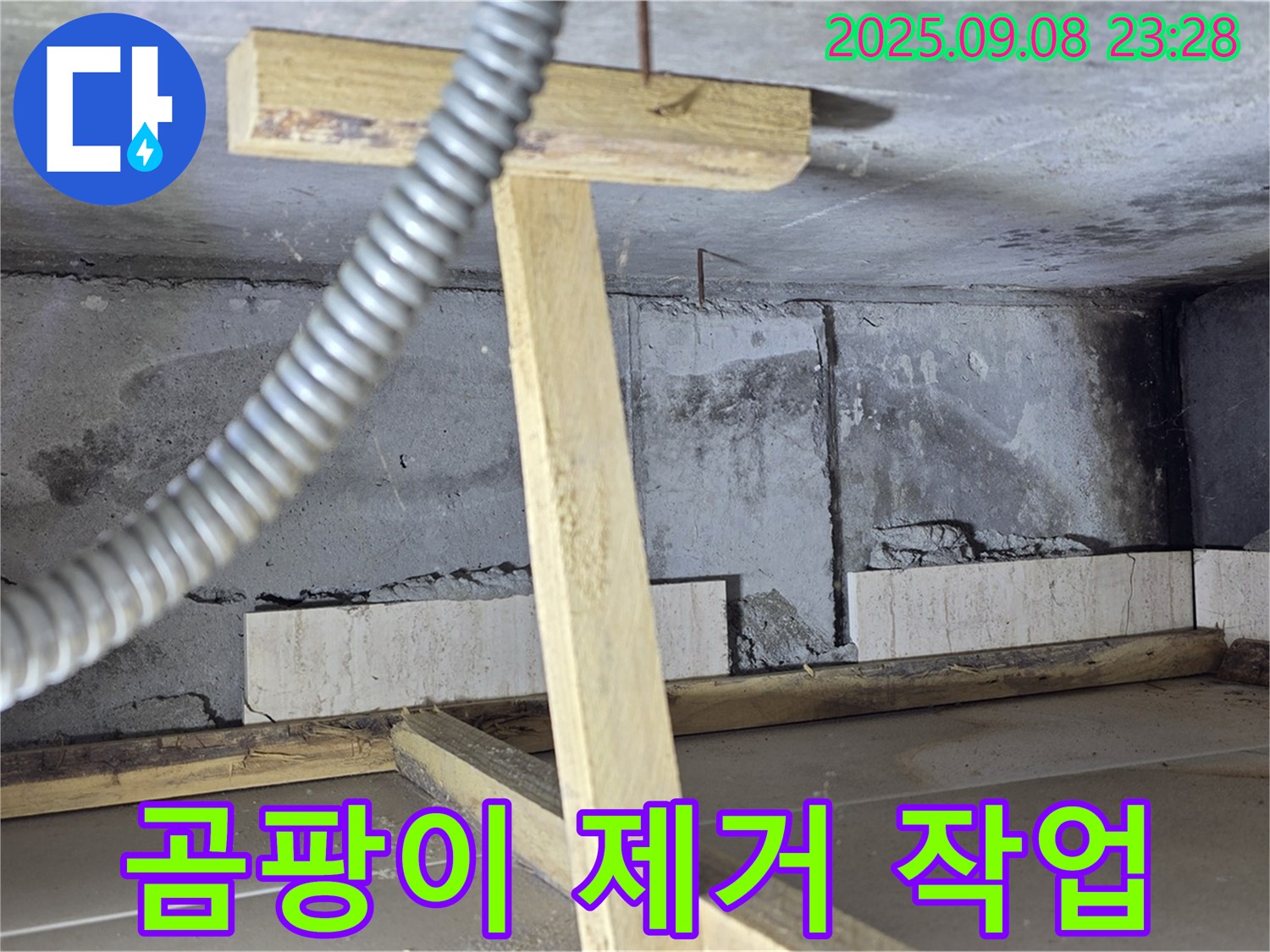 포천시 일동면 기산베스트빌 아파트 - 천장 누수 주변 곰팡이 제거 작업 모습