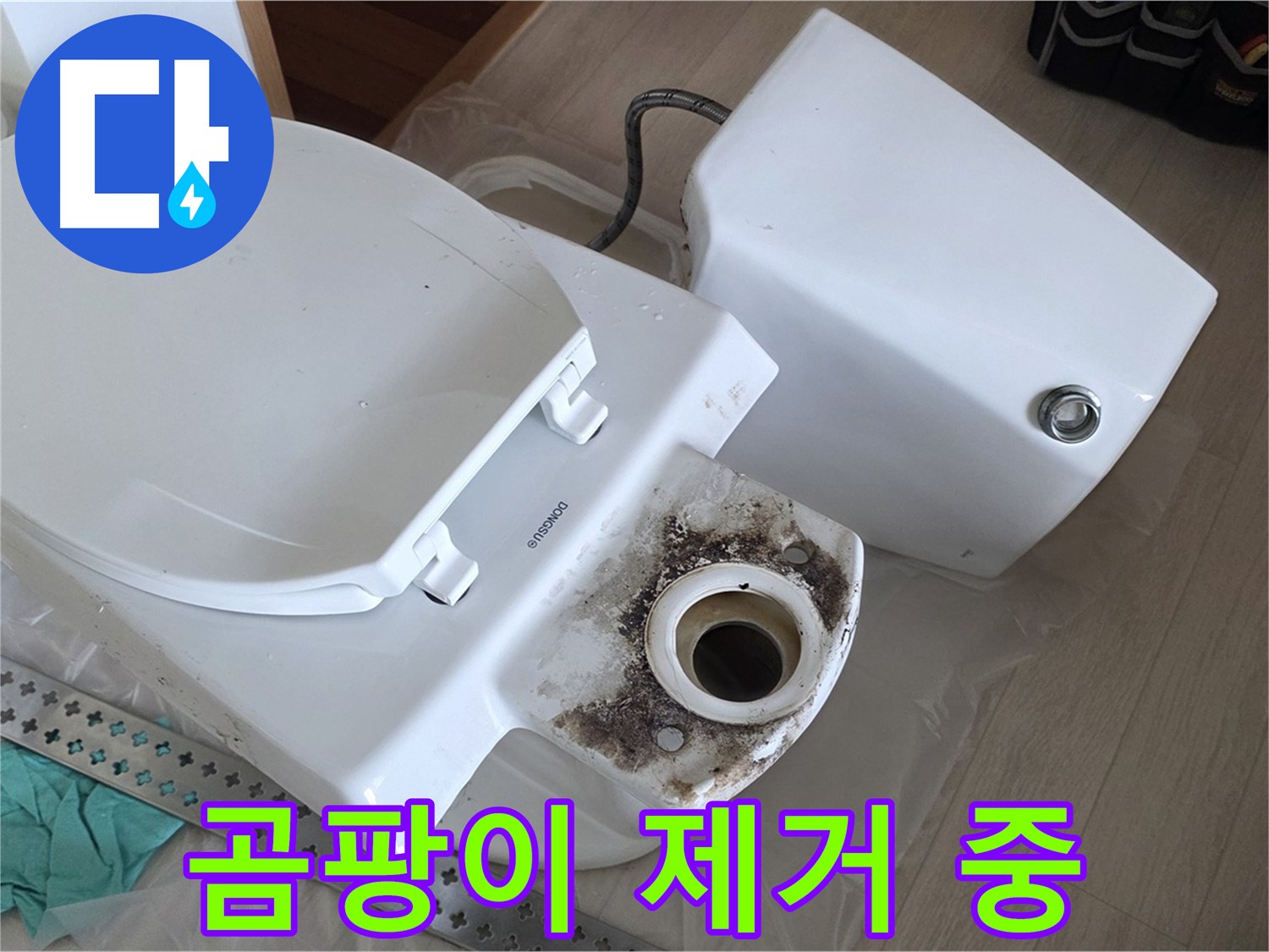포천시 일동면 운악청계로 아파트 - 변기 주변 곰팡이 제거 작업 진행 중