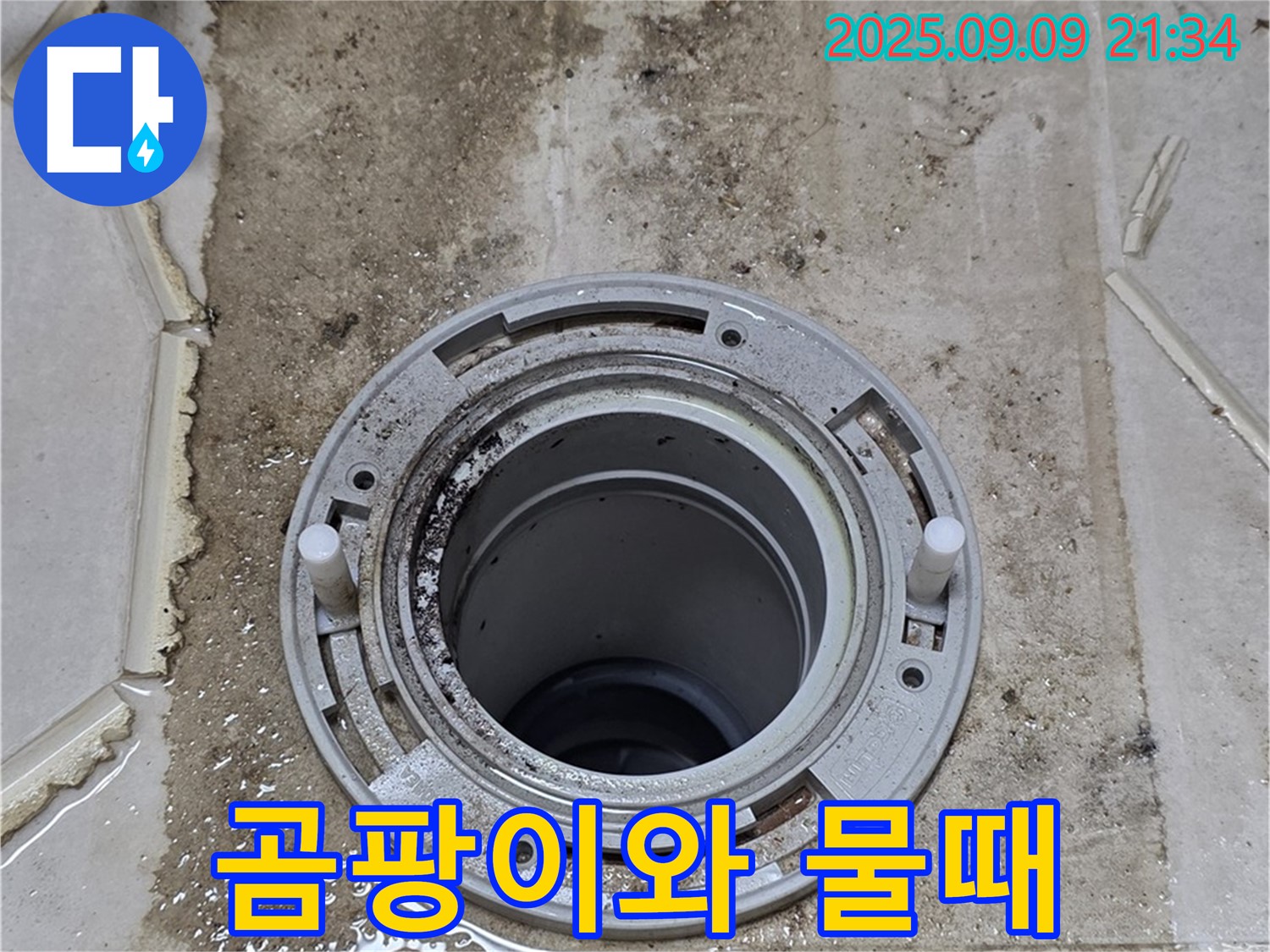 곰팡이와 물때 - 누수로 인한 곰팡이