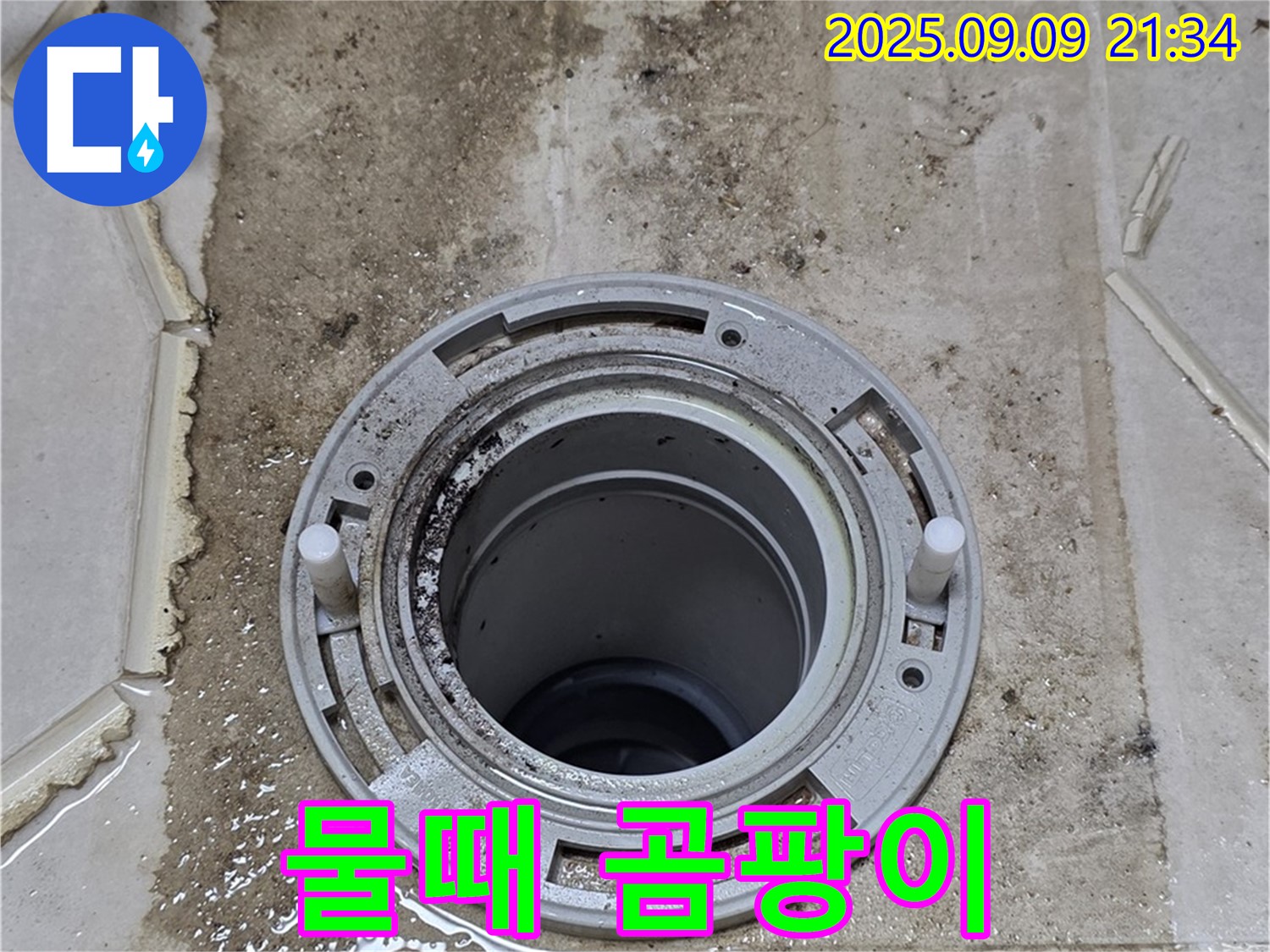 물때 곰팡이 - 변기 주변 물때와 곰팡이
