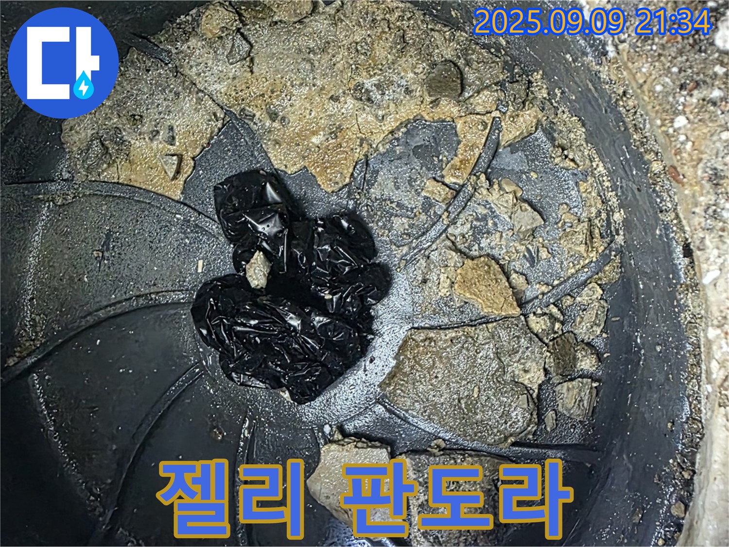배수구 속 검은 젤리 - 누수 판도라, 상자 열리기 직전!