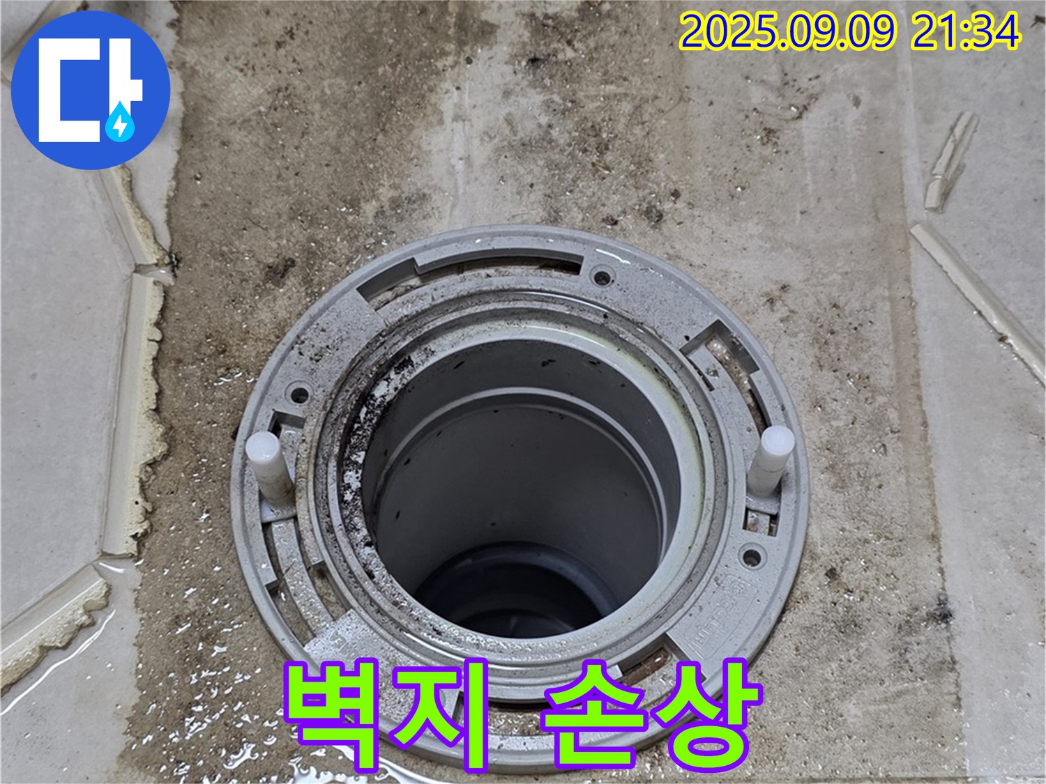 벽지 손상 - 변기 주변 벽지 손상