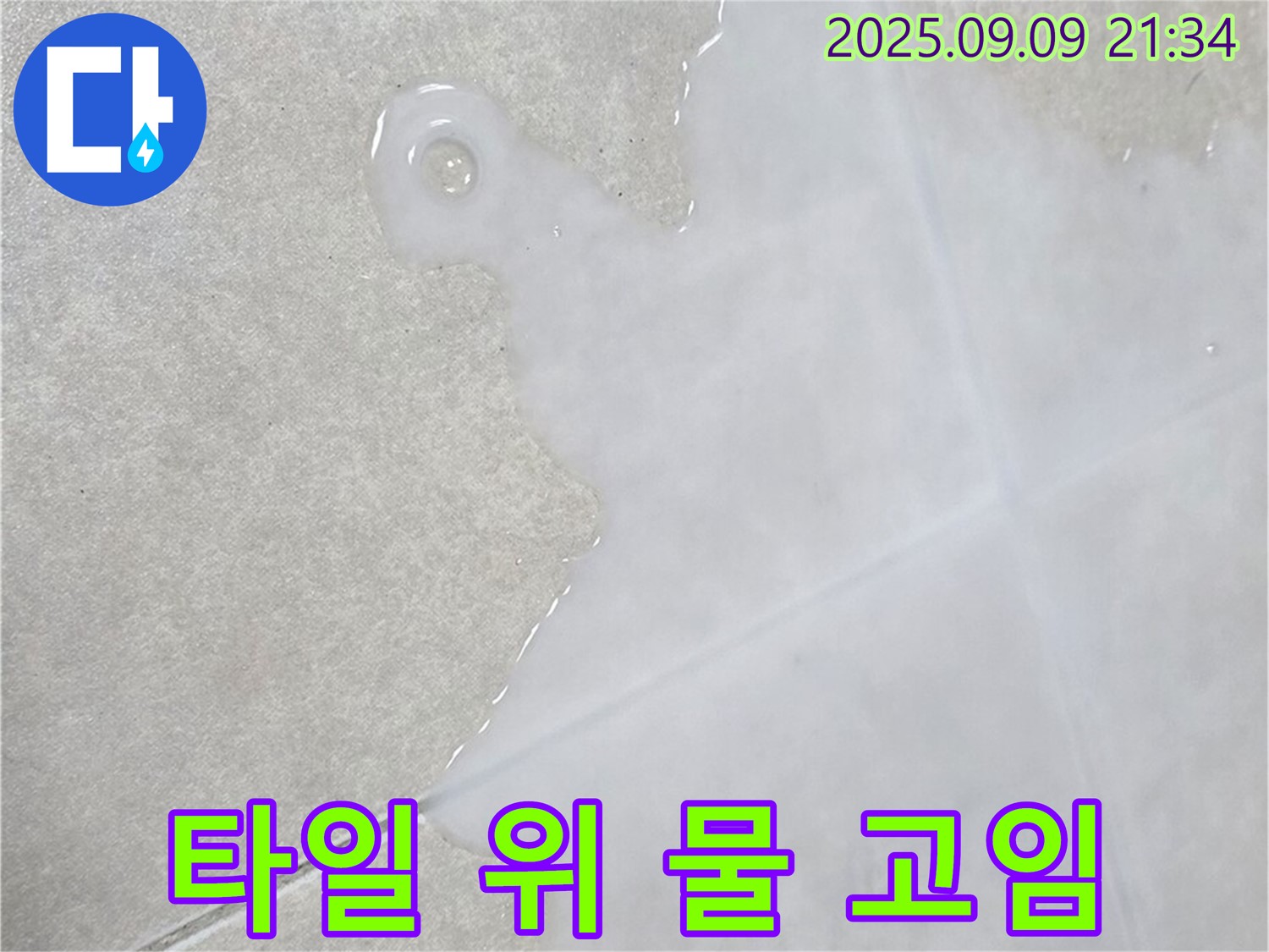 양주 옥정 율정마을 아파트 타일 위 물 고임 - 조용한 누수 해결