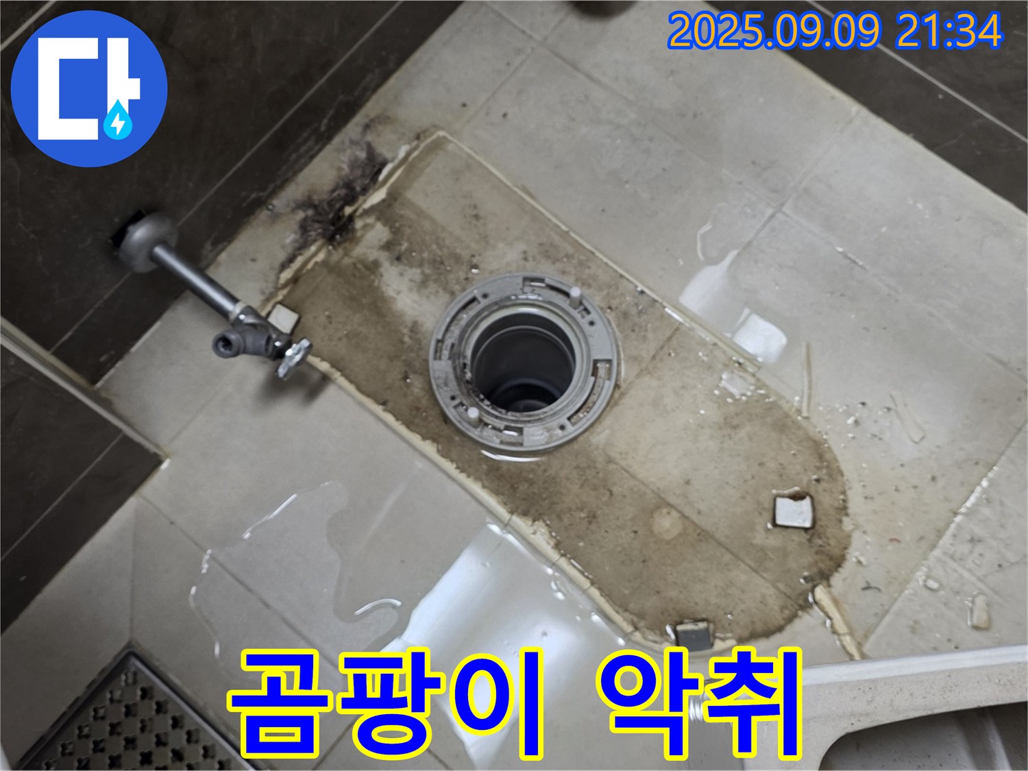 양주 옥정동 율정마을 아파트 - 변기 철거 후 곰팡이 악취!