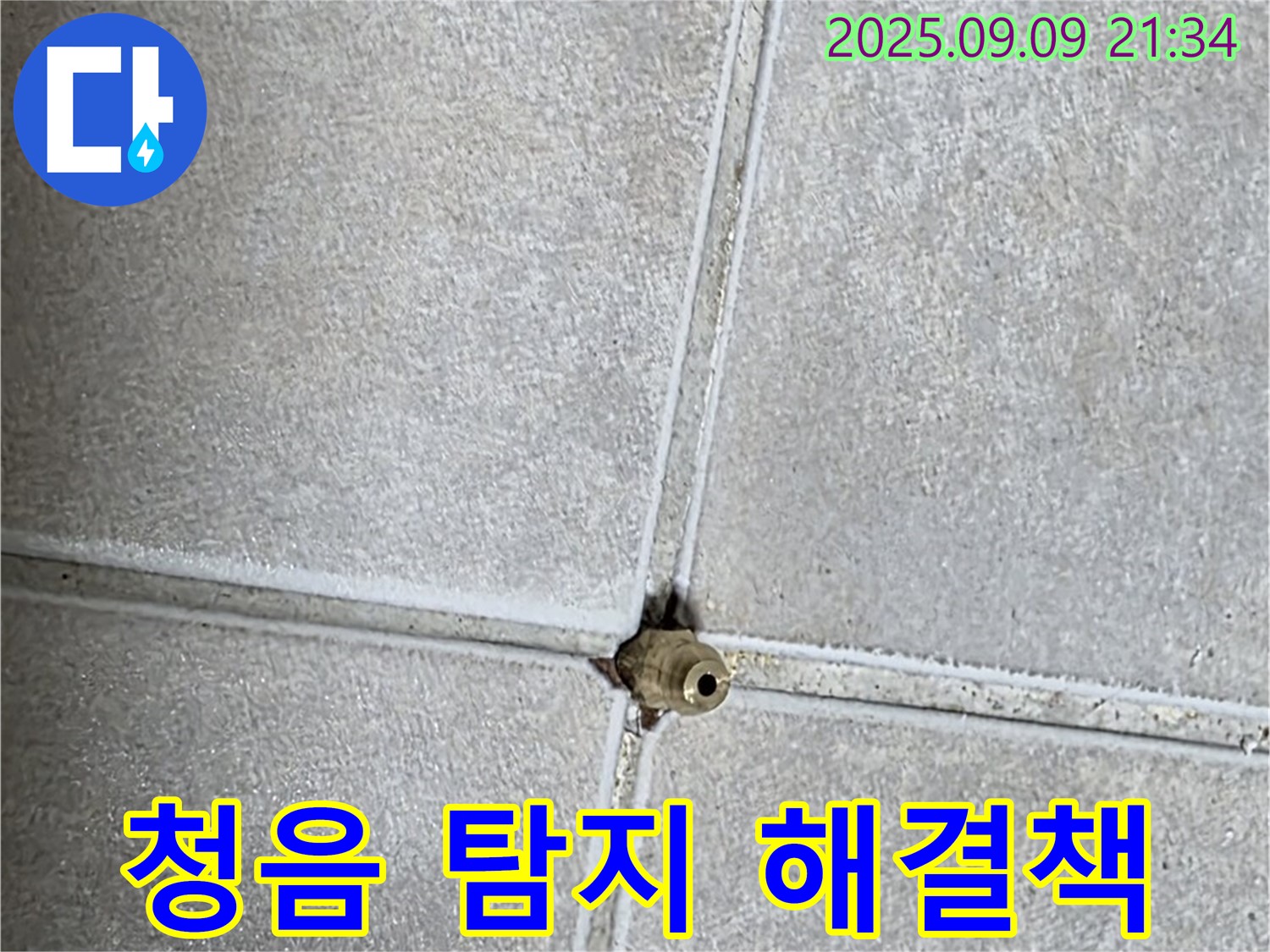 양주 율정마을 아파트 누수 - 청음 탐지, 맞춤 해결책