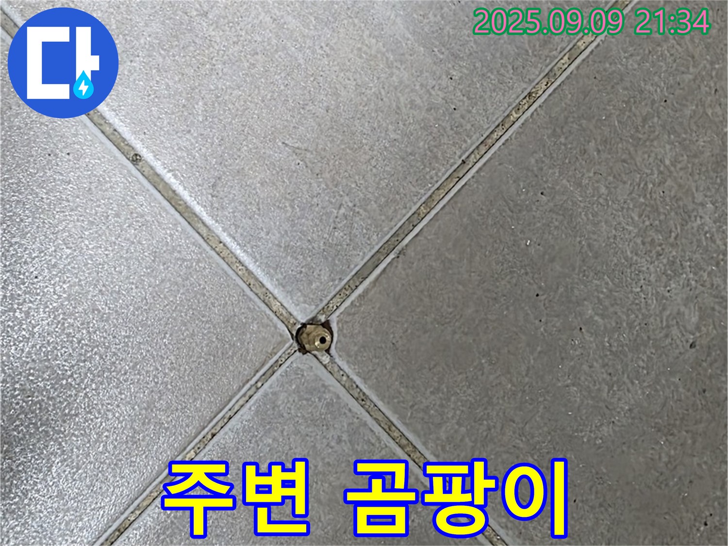 타일 틈새 누수 - 곰팡이