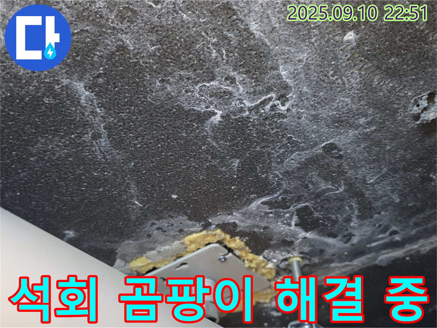 석회와 곰팡이 문제 해결을 위한 작업이 진행 중인 천장 사진 - 꼼꼼한 작업으로 만족을 드리겠습니다.