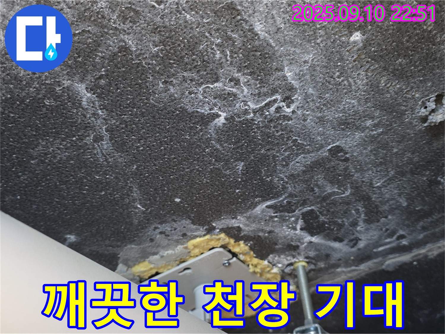 석회와 곰팡이 제거 작업을 진행 중인 천장 사진 - 깨끗하고 쾌적한 천장을 기대해주세요.