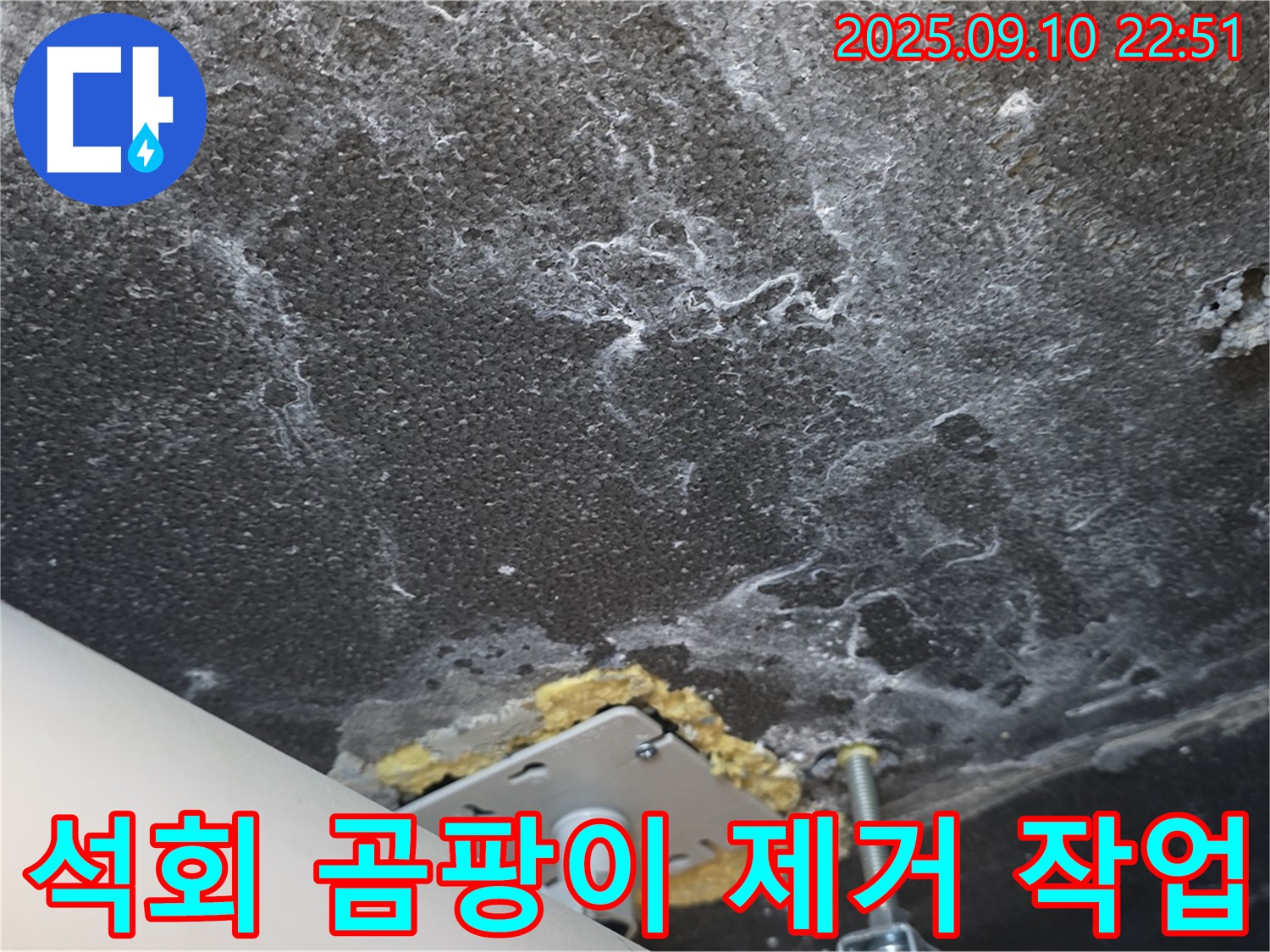 석회와 곰팡이 제거 작업을 진행 중인 천장 사진 - 꼼꼼하게 석회와 곰팡이를 제거하고 있습니다.