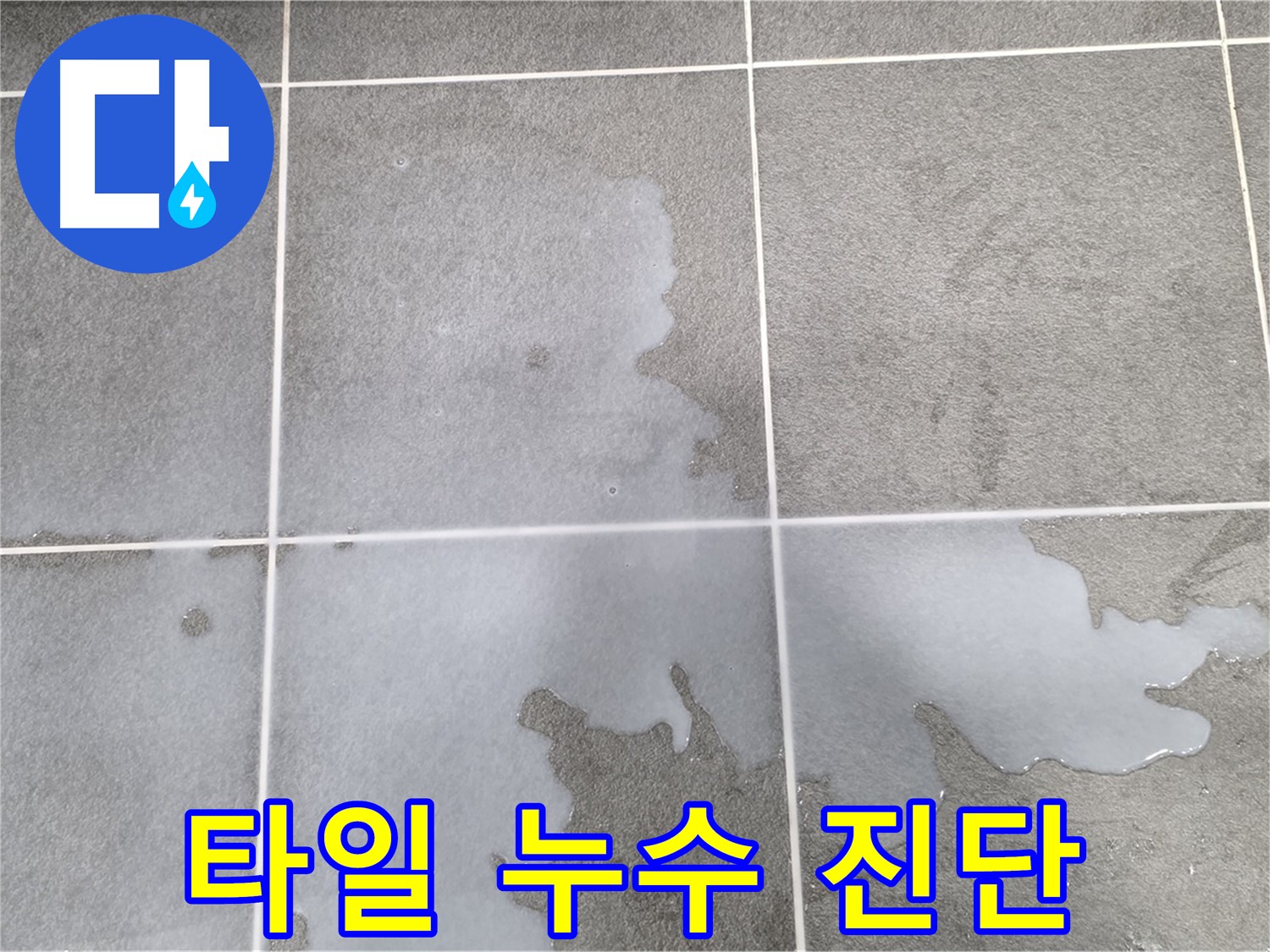 운정 아파트 욕실 타일 틈새 누수 - 전문 장비로 정밀 누수 진단