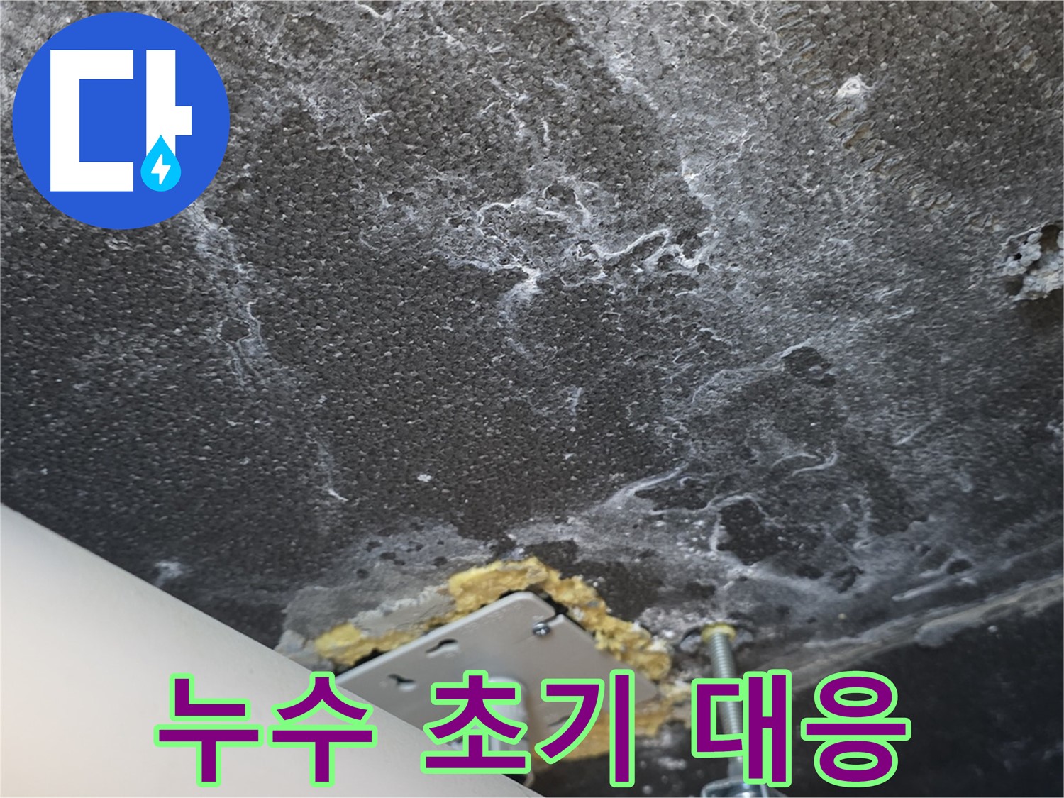 운정어반프라임 누수 - 천장 누수 초기 대응의 중요성