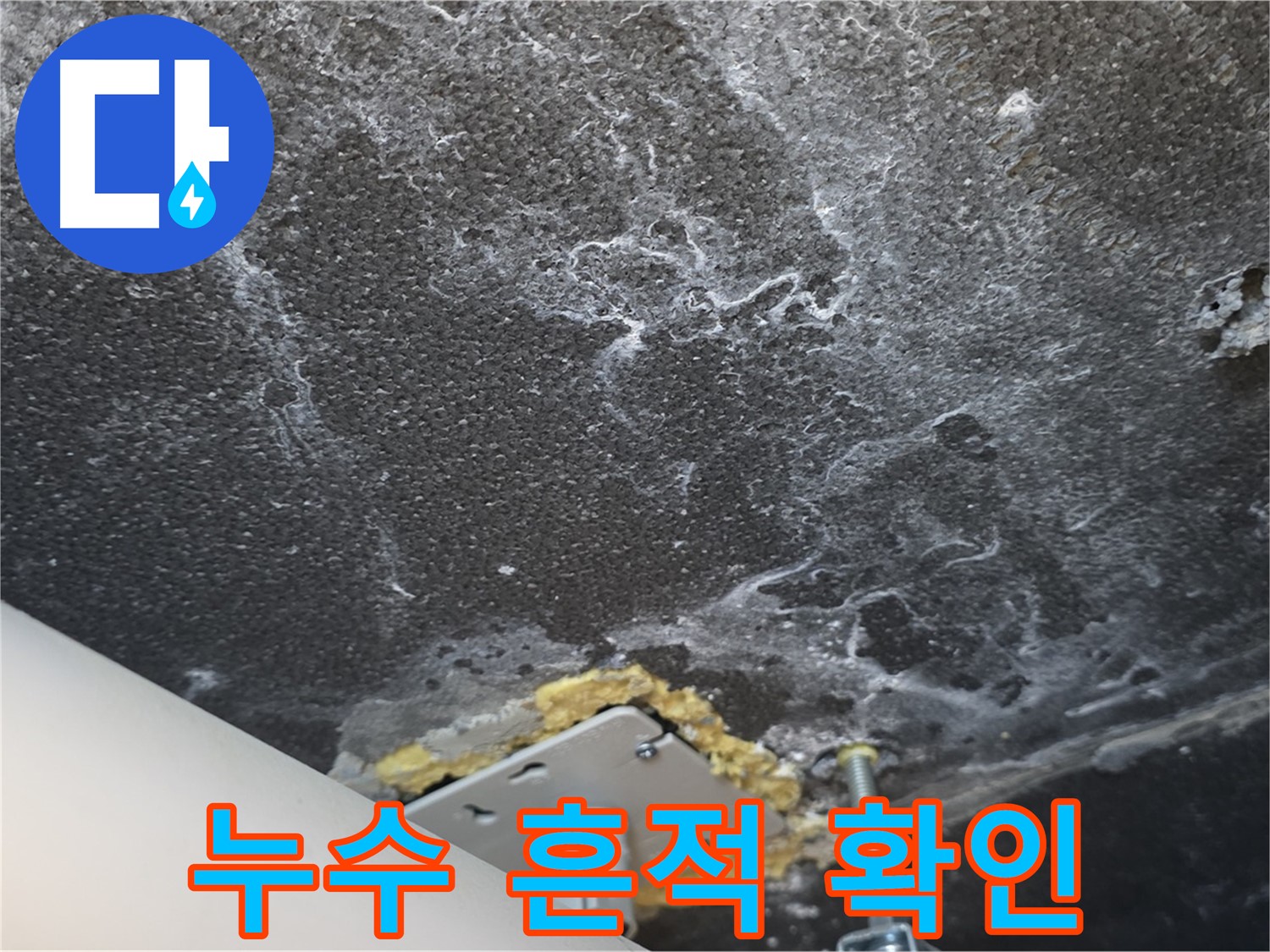 천장 누수 흔적 - 누수 발생 위치와 정도 파악
