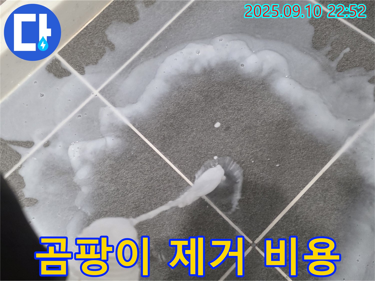 파주 운정어반프라임 곰팡이 제거 비용 - 곰팡이, 합리적인 가격으로 해결!