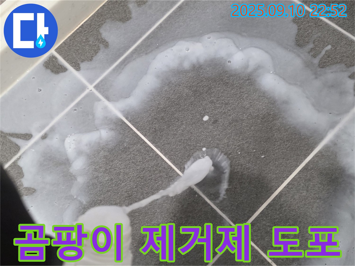 파주 운정어반프라임 곰팡이 제거제 도포 - 곰팡이 제거의 시작!