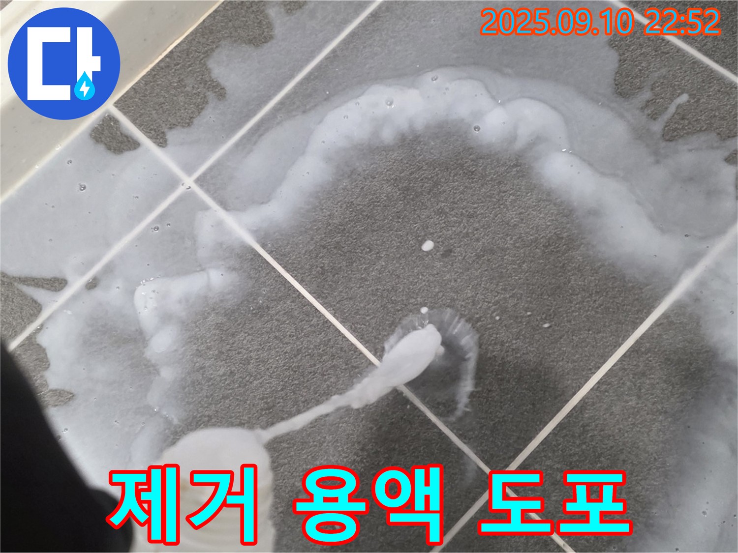 파주 운정어반프라임 제거 용액 도포 - 곰팡이 뿌리까지!
