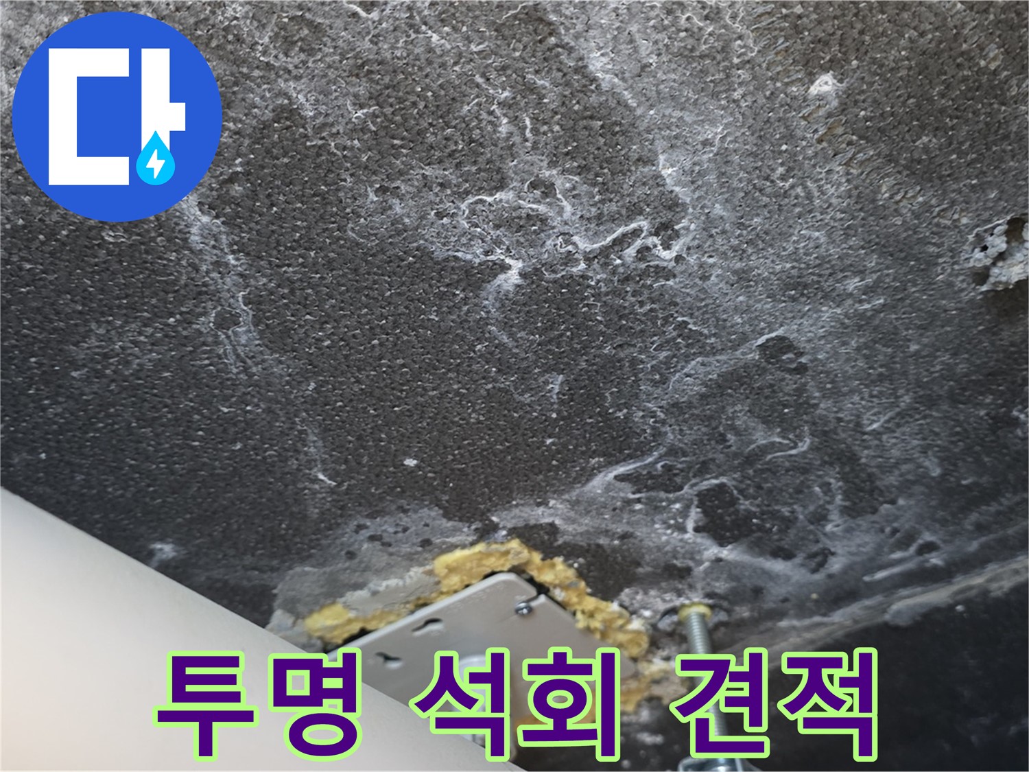 파주시 동패동 아파트 누수 - 석회 관련 투명하고 합리적인 견적 제공