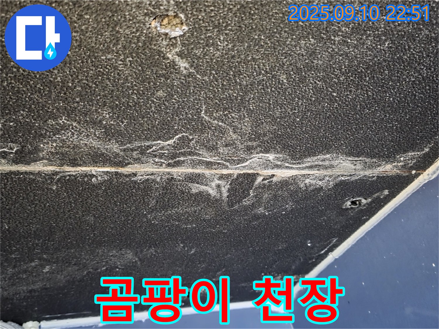 파주시 동패동 운정어반프라임 아파트 천장 - 곰팡이로 뒤덮인 심각한 천장 누수 현장입니다.