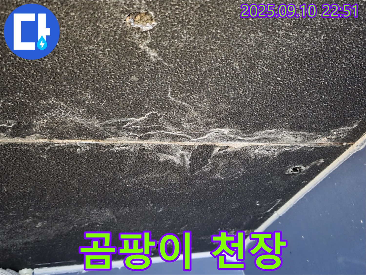 파주시 동패동 운정어반프라임 아파트 천장 누수 - 곰팡이로 뒤덮인 심각한 천장 누수 현장입니다.