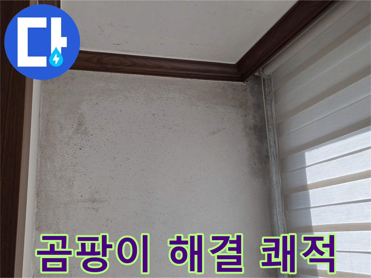노원구 중계동 곰팡이 누수 - 완벽 해결, 쾌적한 공간으로 변신