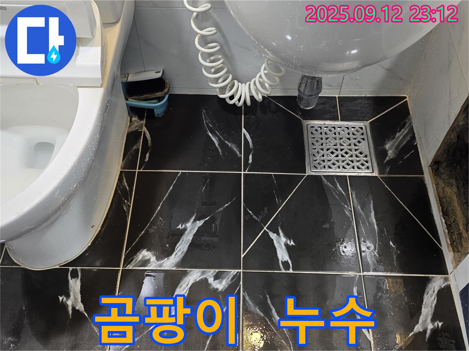노원구 중계동 현대5차 아파트 욕실 - 벽면 곰팡이와 누수 동시 발생 현장