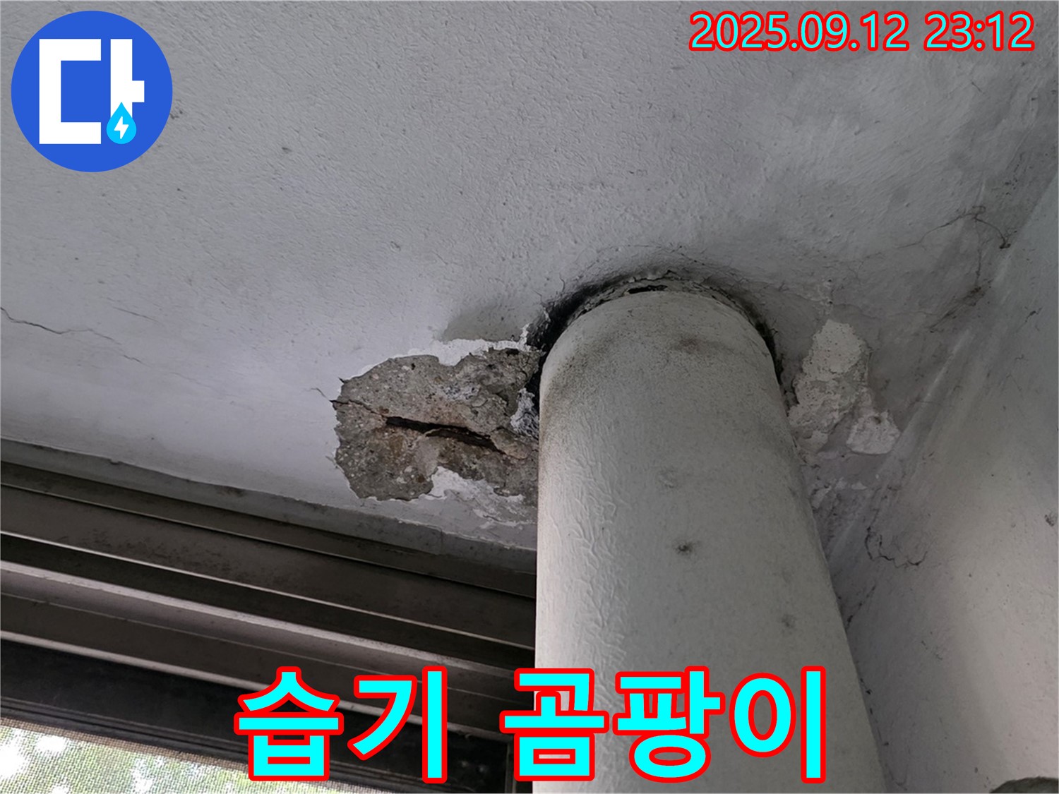 중계1동 현대5차 누수 - 천장 배관 주변 콘크리트 손상 부위 습기로 인한 곰팡이 발생