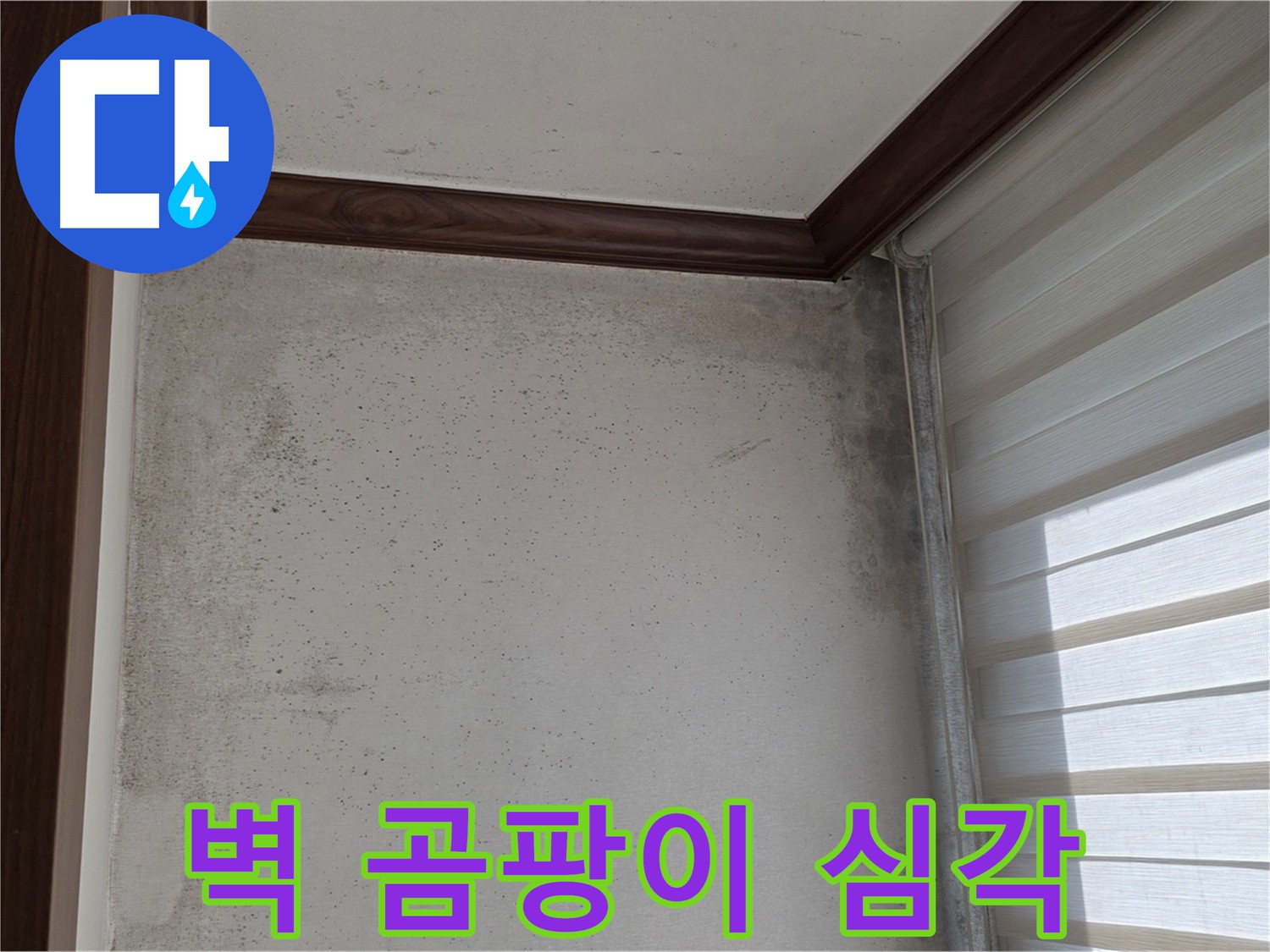 중계2동 현대5차 아파트 벽 곰팡이 - 심각한 누수 의심, 긴급 점검 실시