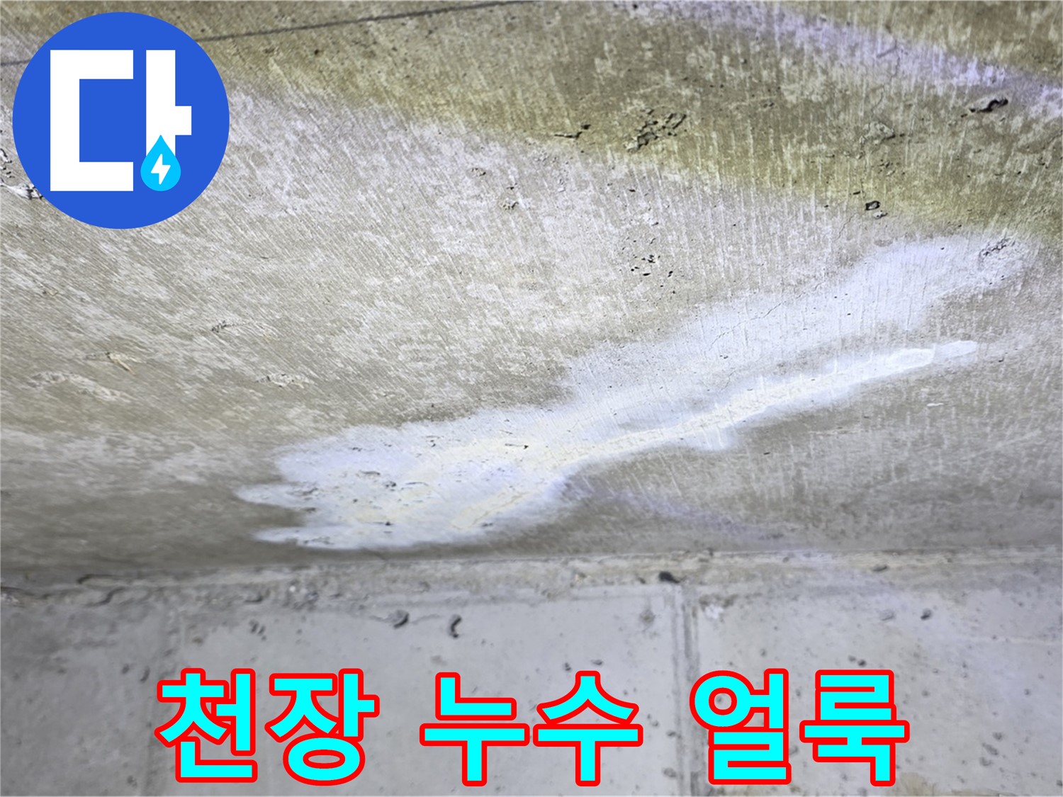 중계동 현대5차 211동 천장 누수 얼룩 - 누수 위치 및 범위 확인