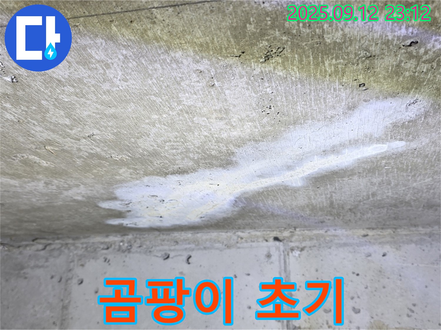 중계동 현대5차 아파트 누수 - 천장 곰팡이 초기 - 누수 의심 - 서둘러 점검