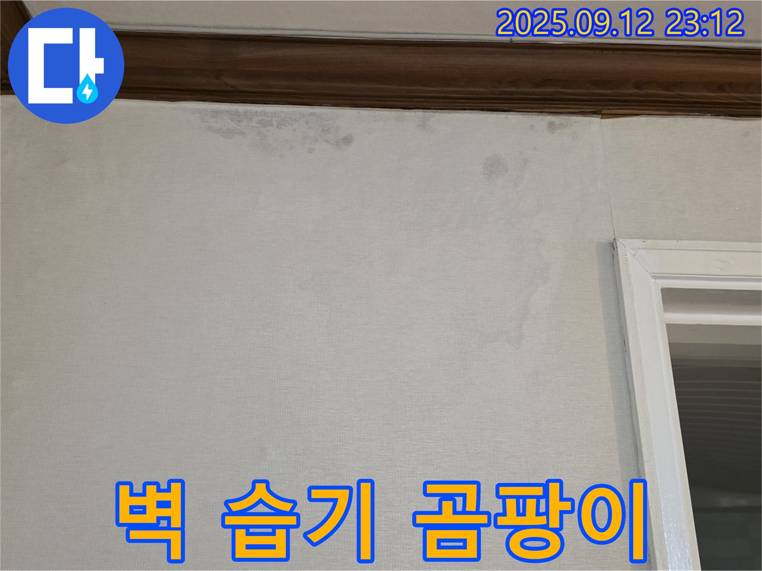 중계동 현대5차 아파트 벽 습기 - 곰팡이 냄새, 누수 신호 의심