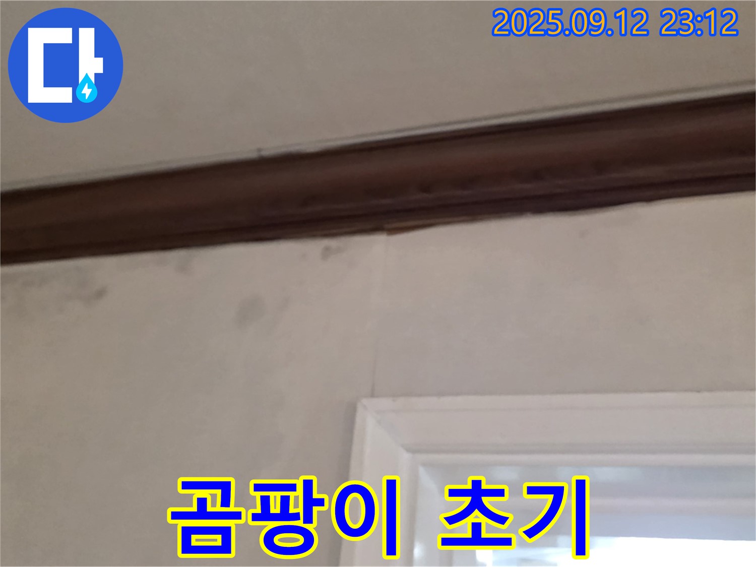 중계동 현대5차 아파트 벽면 누수 - 곰팡이