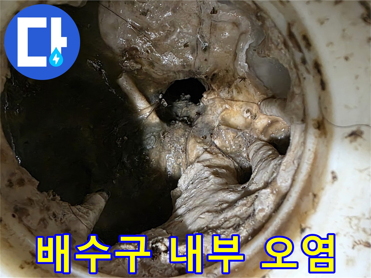 중계동 현대5차 아파트 싱크대 배수구 내부 오염 상태 - 누수 위험
