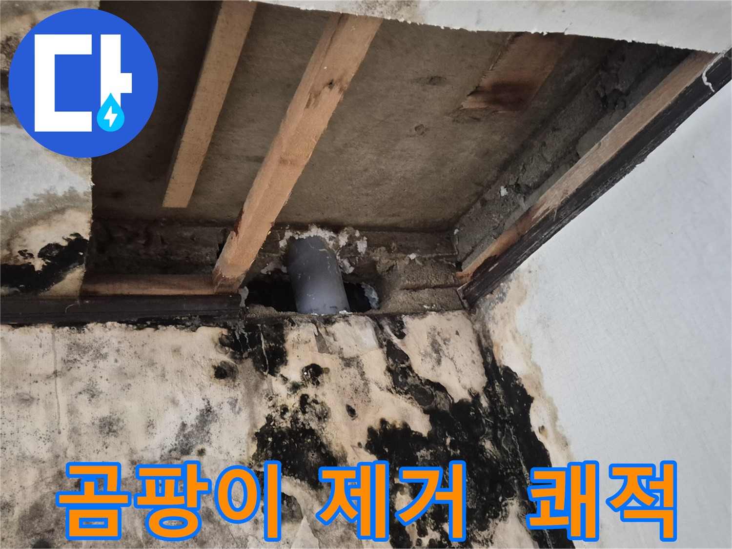 곰팡이 제거 및 쾌적한 공간 조성 - 누수 문제 해결 후 깨끗한 환경