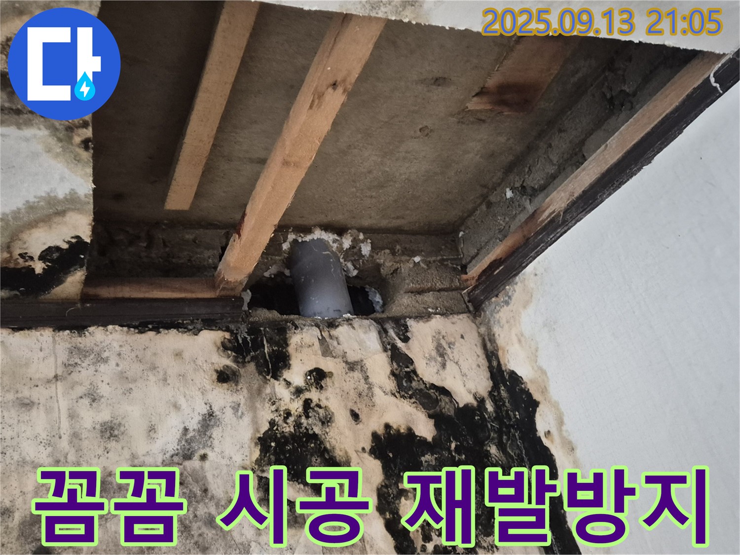 곰팡이 천장, 꼼꼼한 시공으로 재발 방지 약속 - 도봉구 누수