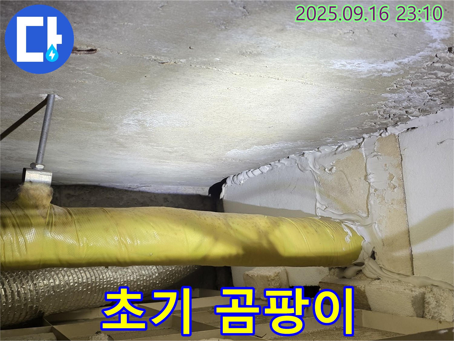 곰팡이 발생 초기 단계 - 천장에 곰팡이가 막 피기 시작한 모습