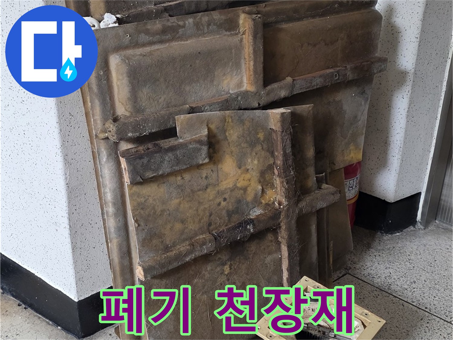 곰팡이 포자 가득한 천장재와 조명 - 즉시 폐기만이 답