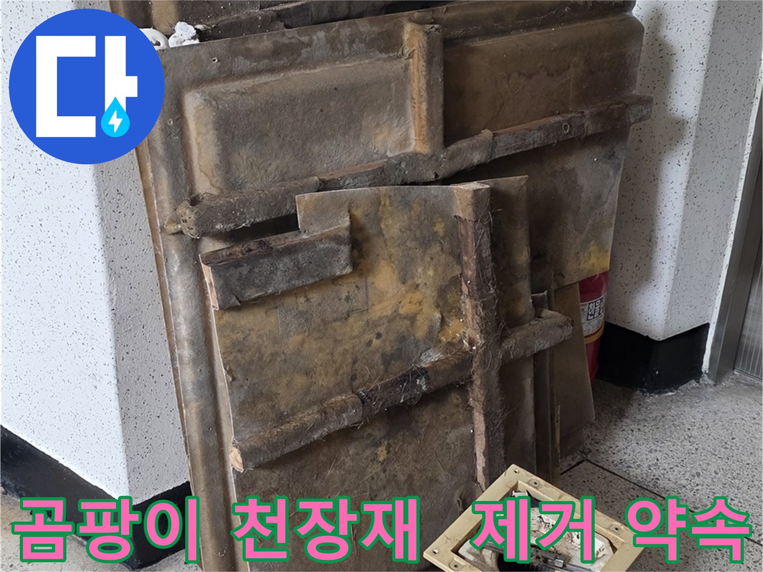 곰팡이 핀 천장재와 조명 - 완벽 제거 약속