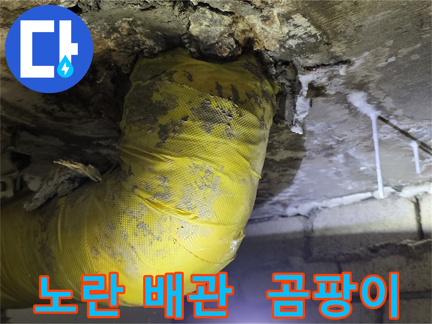 노란 배관의 습격, 곰팡이와 악취 - 신사동 새절역 인근 누수